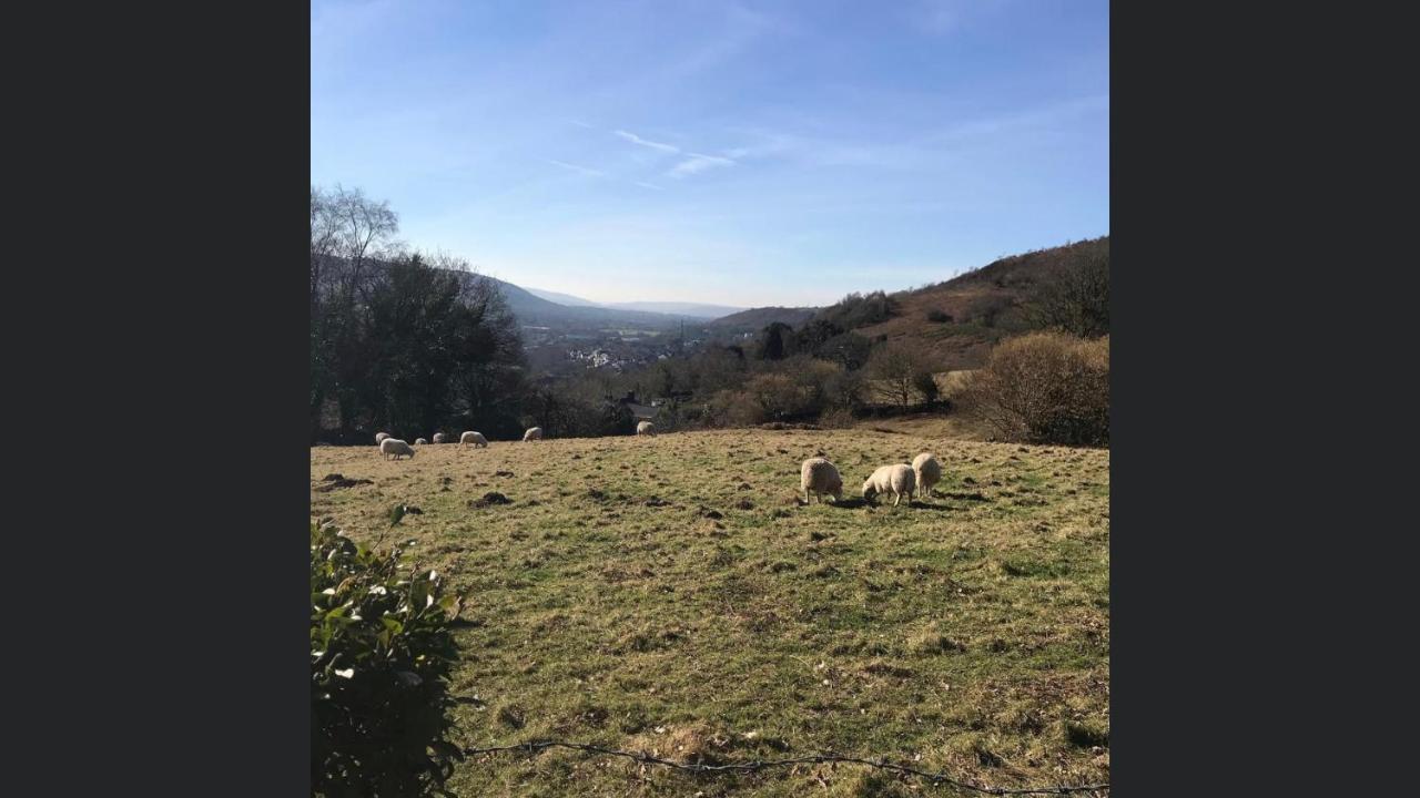 Swansea Log Cabin Pontardawe 外观 照片
