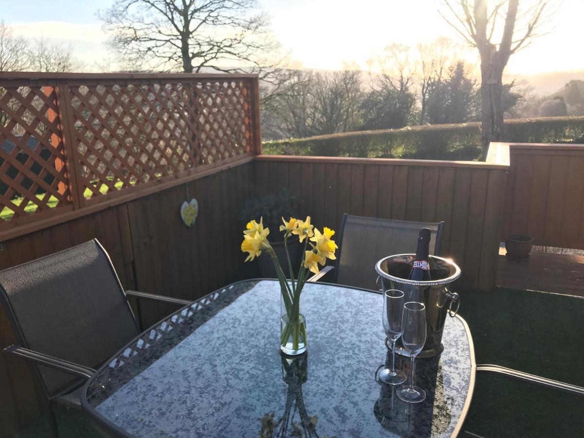 Swansea Log Cabin Pontardawe 外观 照片