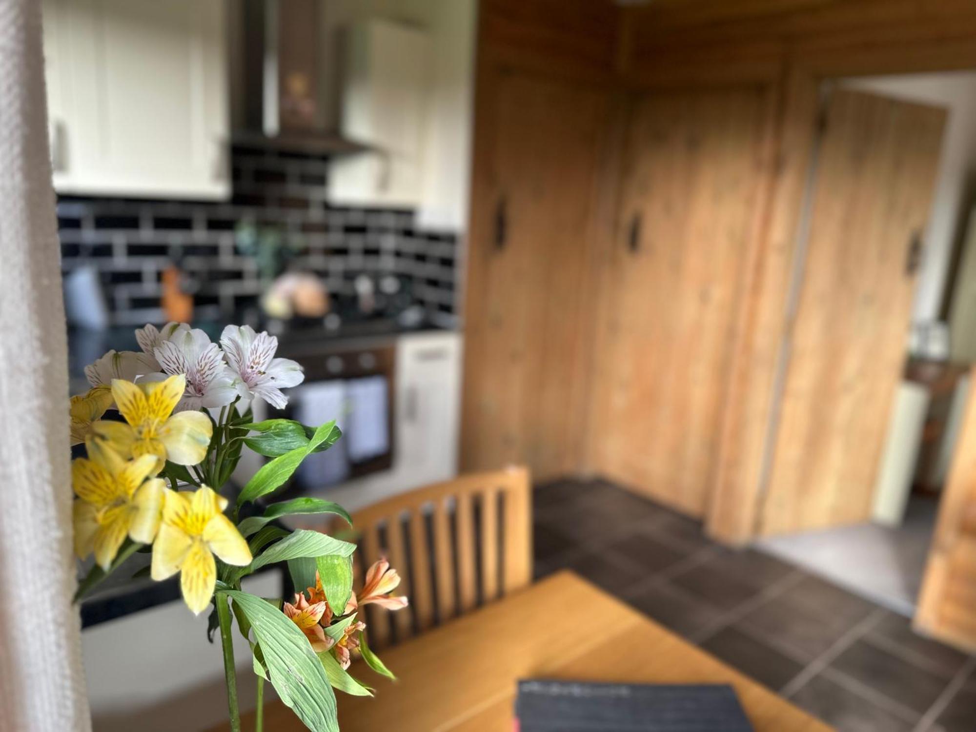 Swansea Log Cabin Pontardawe 外观 照片