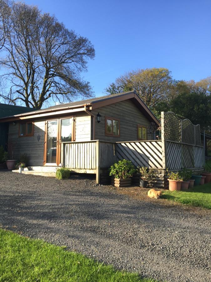Swansea Log Cabin Pontardawe 外观 照片