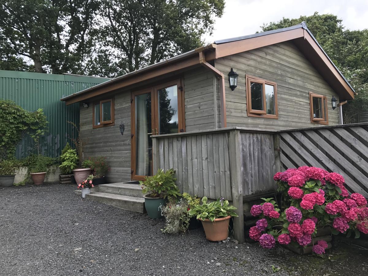 Swansea Log Cabin Pontardawe 外观 照片