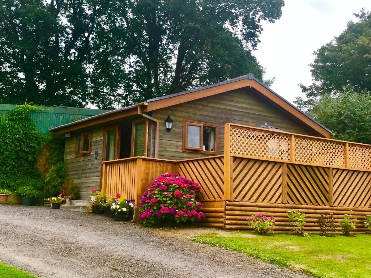 Swansea Log Cabin Pontardawe 外观 照片